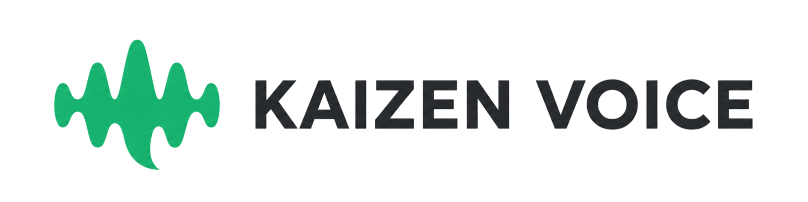KAIZEN VOICE